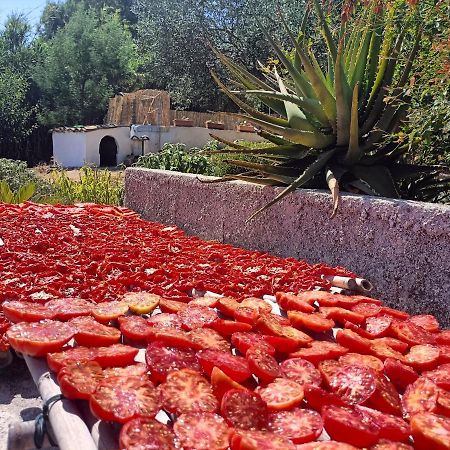 Ferienwohnung La Casetta Nel Bosco Calatafimi Exterior foto